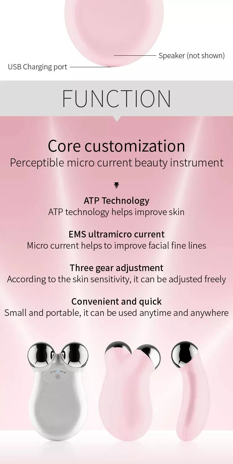 EMS Ion Microcurrent V-Shape Equipment Microcurrent Face Machine Home Use Beauty Device