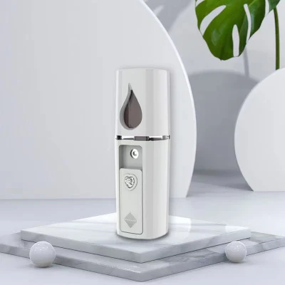 Pulvérisateur de brume Mini 25ml ultrasons Nano Portable eau SPA hydratant hydratant visage pulvérisateur avec miroir Support Logo personnalisé