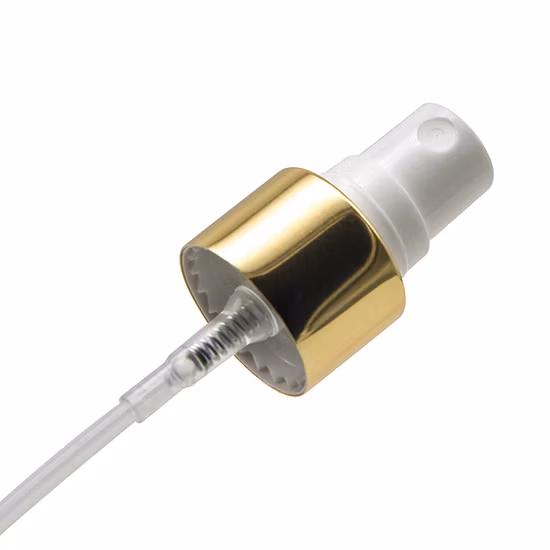 Pulvérisateur à brume fine liquide Mini Nano Sector pour le corps