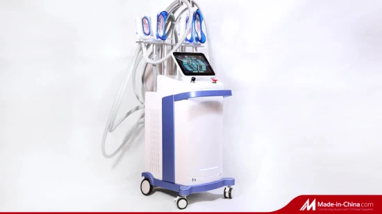 2022 Top Vente Meilleur système de cavitation sous vide RF Fat Freeze Body Shape Beauty Salon Device à vendre