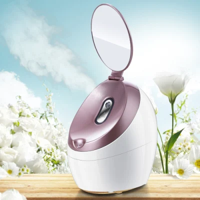 Bon prix Professional Electric Portable Warm Mist Face Steaming Ionic Nano Facial Steamer with Mirror